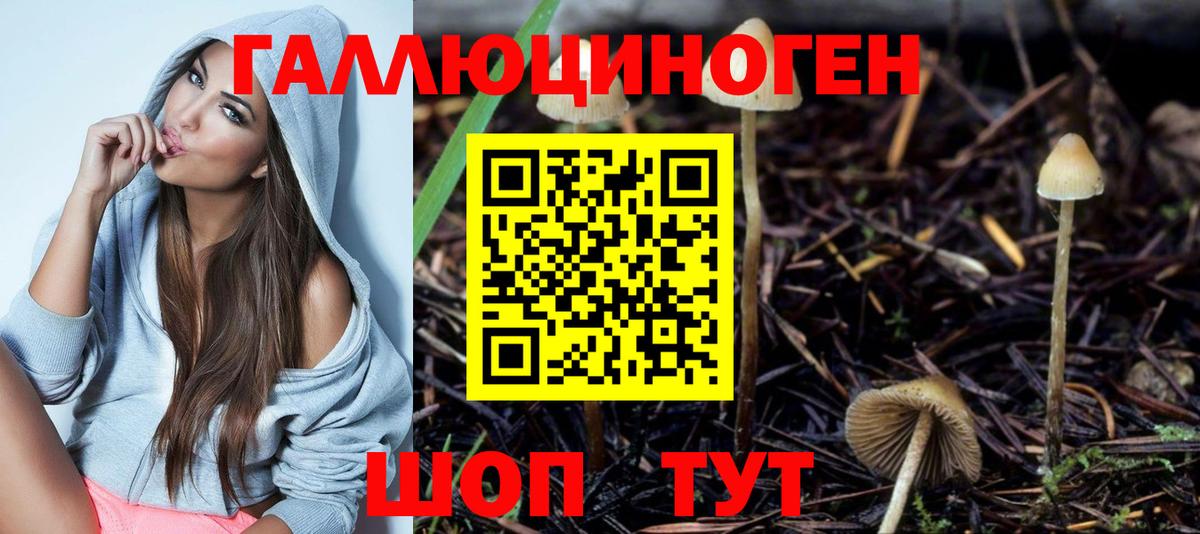 Галлюциногенные грибы прущие грибы Будённовск