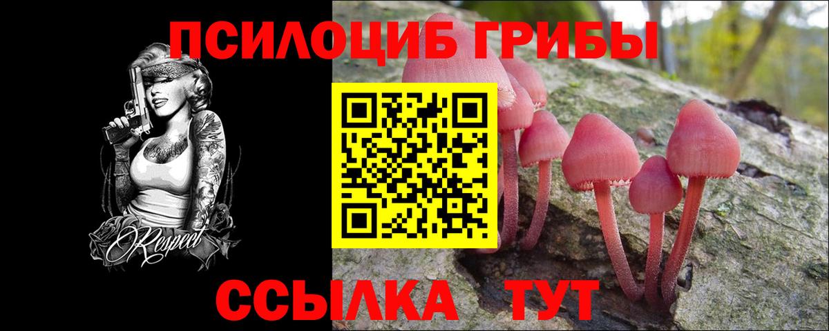 Псилоцибиновые грибы Magic Shrooms  Псилоцибиновые грибы прущие грибы  Будённовск  Вход с VPN 
